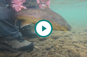 wading-boot