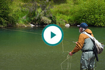 olc_floating_line_front_taper_or_belly